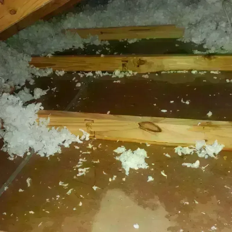 Attic Water Damage in Bangor, WI