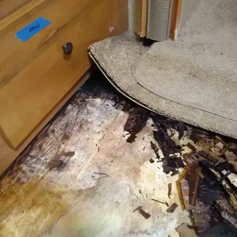 Wood Floor Water Damage in Bangor, WI